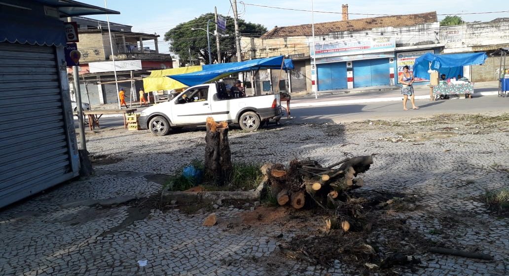 Árvores cortadas em Belford Roxo deixa população indignada com a prefeitura