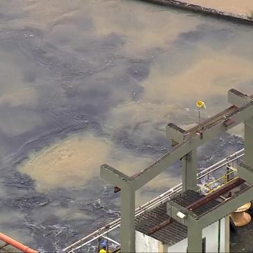 Imagens mostram carvão ativado misturado na água do Guandu