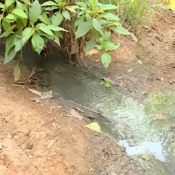 'Expedição água': nascente do Rio Paraíba do Sul é limpa, mas leito recebe esgoto pouco depois