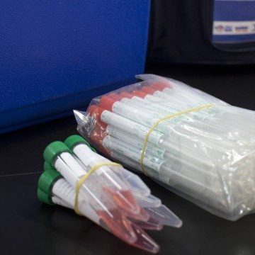 Ministério da Saúde quer distribuir 10 milhões de testes do novo coronavírus