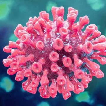 Pesquisadores da Austrália descobrem remédio que mata novo coronavírus em 48 horas
