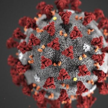 Brasil pode usar geolocalização via celular para combater coronavírus, como fez a Coreia do Sul