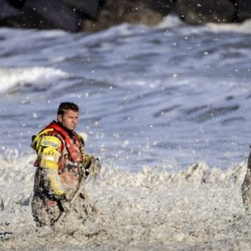 Tragédia na Holanda: 5 surfistas morrem durante ressaca com forte camada de espuma marinha