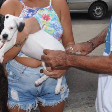 Prefeitura do Rio inicia vacinação contra a raiva na quinta-feira para imunizar 500 mil cães e gatos
