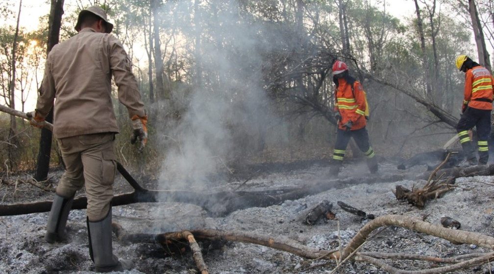 Chuva e força-tarefa ajudam a reduzir focos de incêndio no Pantanal, segundo governo; situação ainda é de alerta