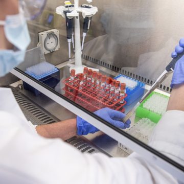 Oxford anuncia que vacina induziu 'fortes respostas imunes' em voluntários idosos em testes de fase 2