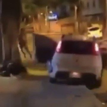 Carro em alta velocidade sobe calçada e atropela duas pessoas em Madureira; vídeo