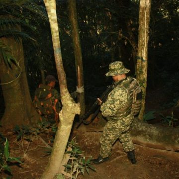 MEIO AMBIENTE:"Operação Da Prefeitura De Nova Iguaçu Apreende Materiais De Caça Na Serra Do Vulcão"
