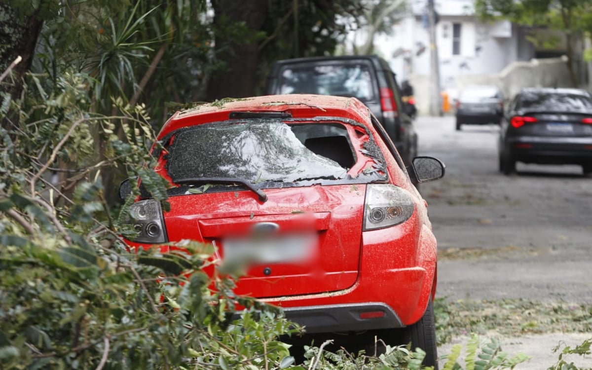 Queda de árvore a Rua Dezoito de Outubro, na Tijuca, atingiu veículo 